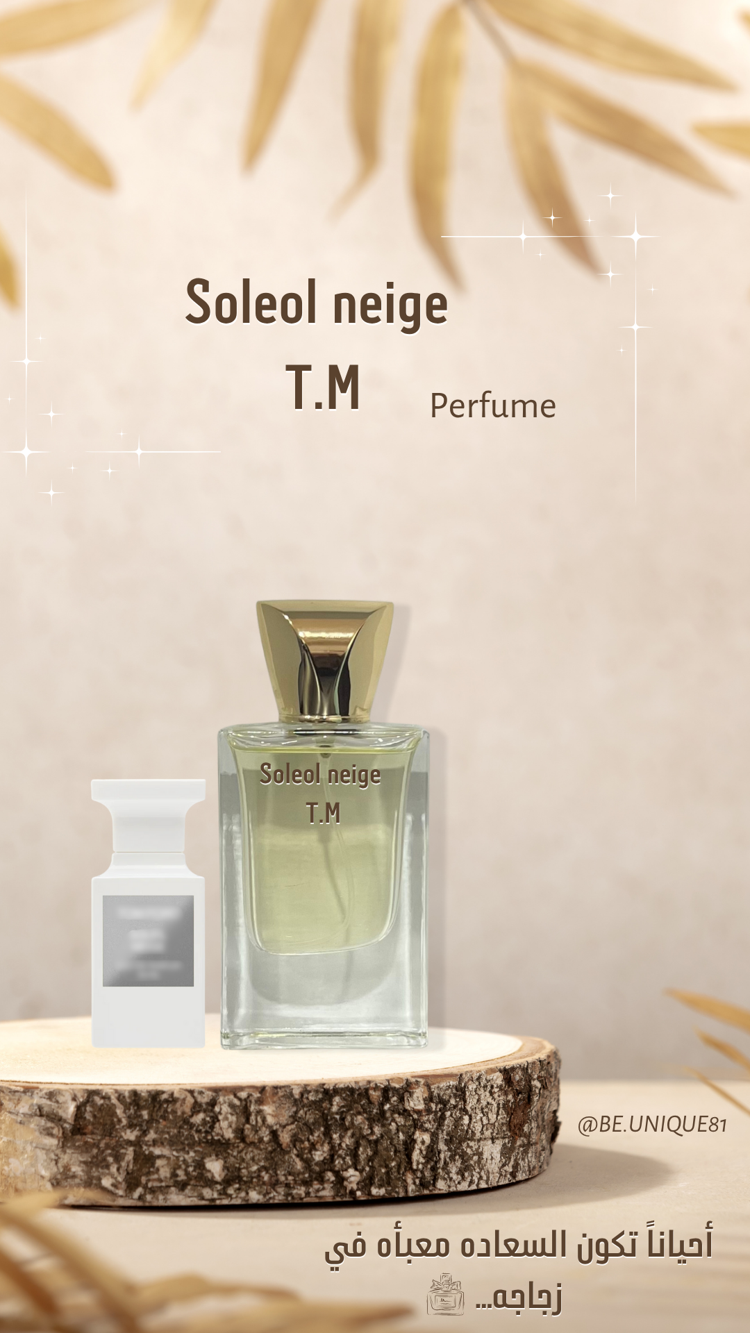 Soleol neige T.M