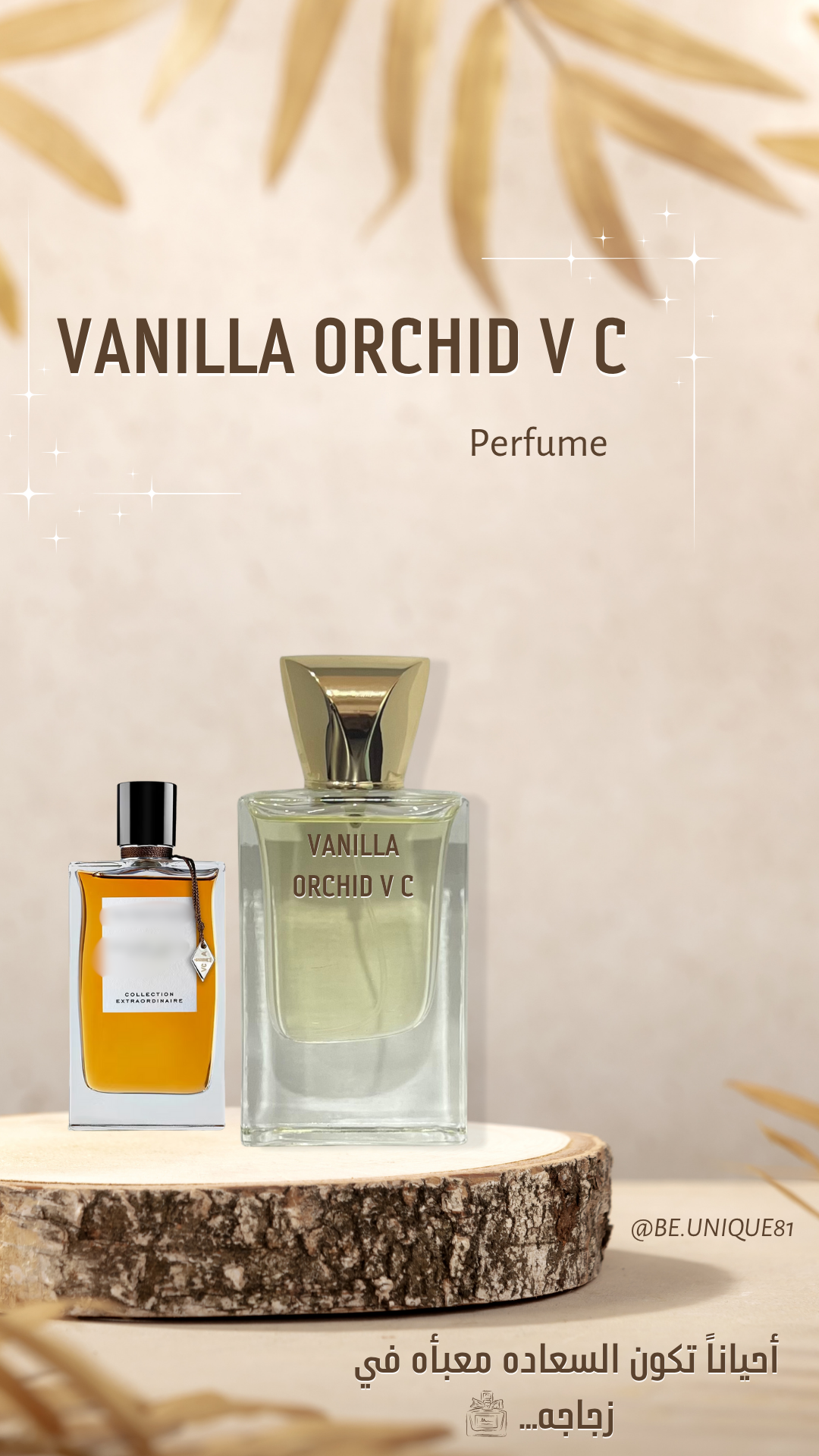 VANILLA ORCHID V C